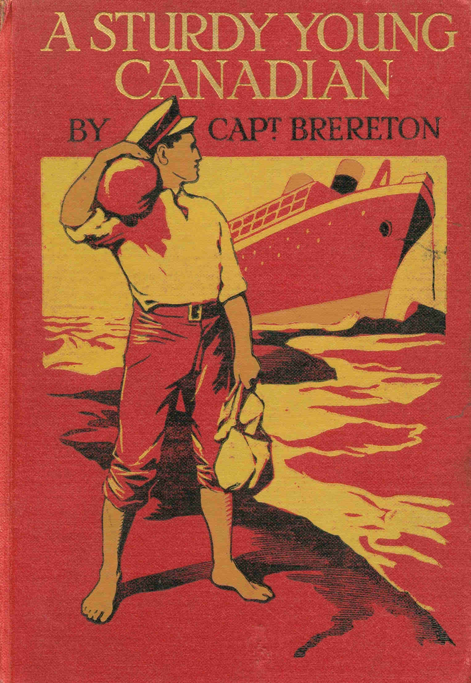 Book cover