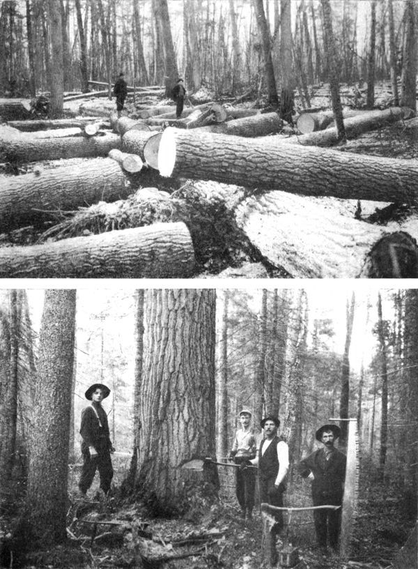 logs and lumberjacks