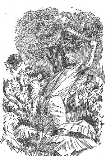 Joe and Frank surrounded and held by natives with clubs