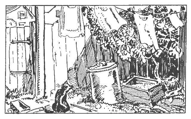The illustration is of an outdoor setting in a fenced in back garden with a gate. There are clothes hanging on a clothes line and appear to be swaying in a breeze. There is an ashcan and a crate under the clothes line and a shrub behind the clothes line. There is also a black care sitting near the gate.