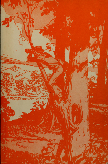 first edition orange endpaper of boy in tree with spyglass