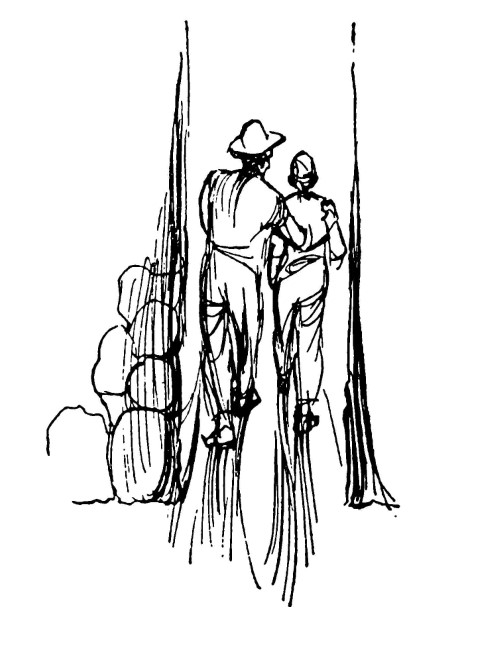 Man and boy walk together