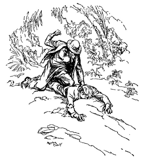 Man beats young man on ground