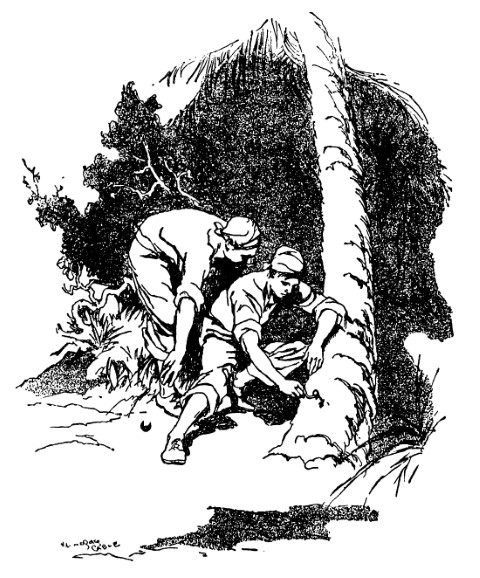 Two boys inspect nail in tree