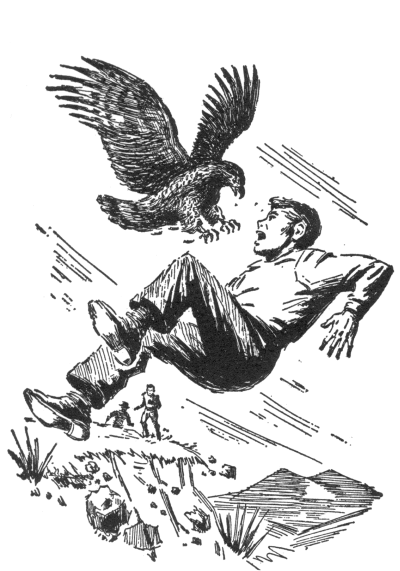 hawk with extended claws hovering over Joe who is falling backward