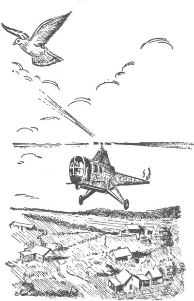 helicopter flying behind pigeon with a few houses below