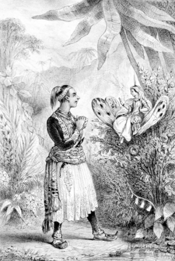 Un prince indien aux mains jointes parle à la reine des fées assise sur des ailes de papillon dans une forêt.