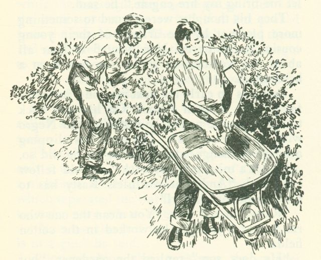 The drawing shows a boy pulling a piece of paper from the inside of a wheelbarrow. Another man is standing to the left pruning a hedge with clippers.