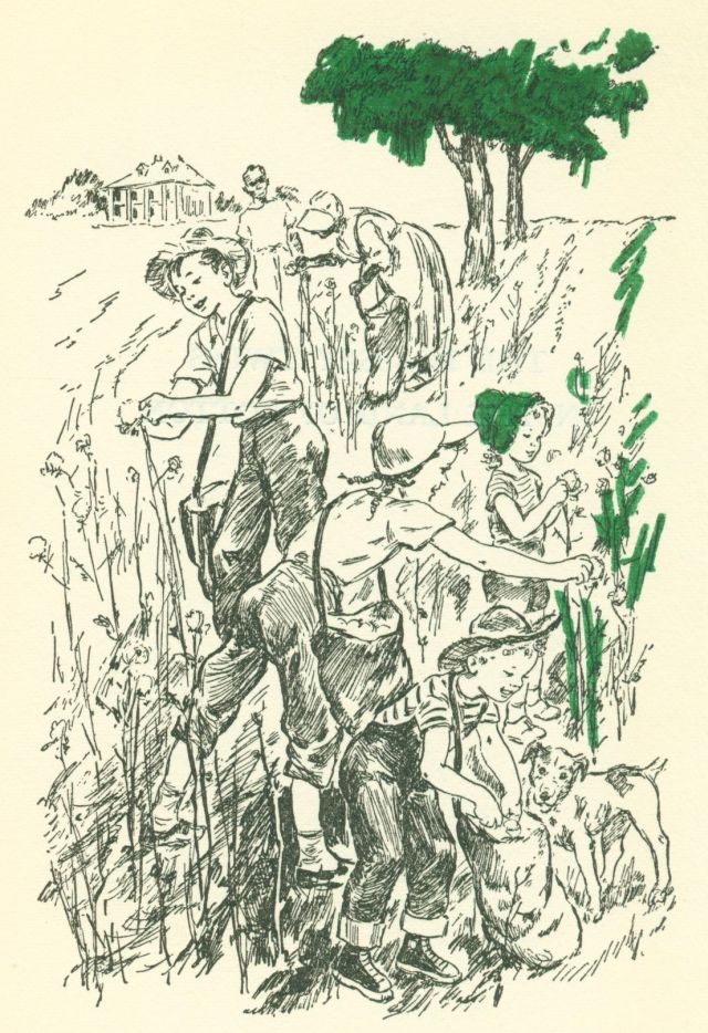 The drawing shows a group of children and a dog in a field picking cotton. There is a house in the background as well as a couple of adults also picking cotton.
