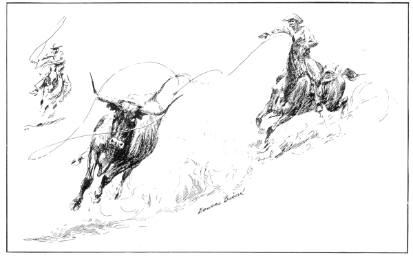 Running Texas Longhorn steer being pursued and lasooed by a cowboy on horseback with 2nd cowboy on horseback following