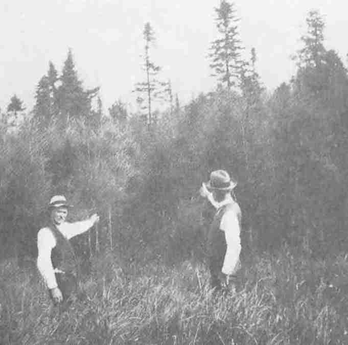 Photo: Crossing the Marsh at end of Carrying-Place trail