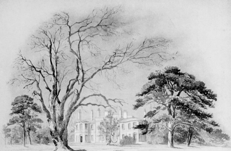 two story many chimneyed house with evergreen trees in front and large leaf-less tree in forefront