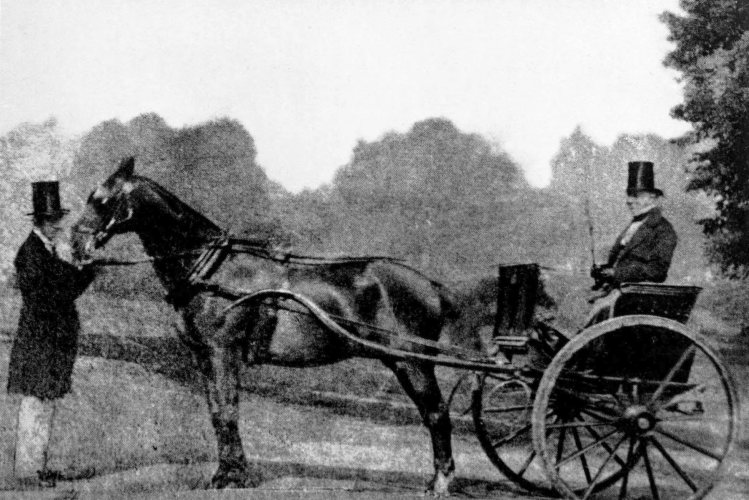 man in tophat sitting inside open gig with another man in tophat holding horse