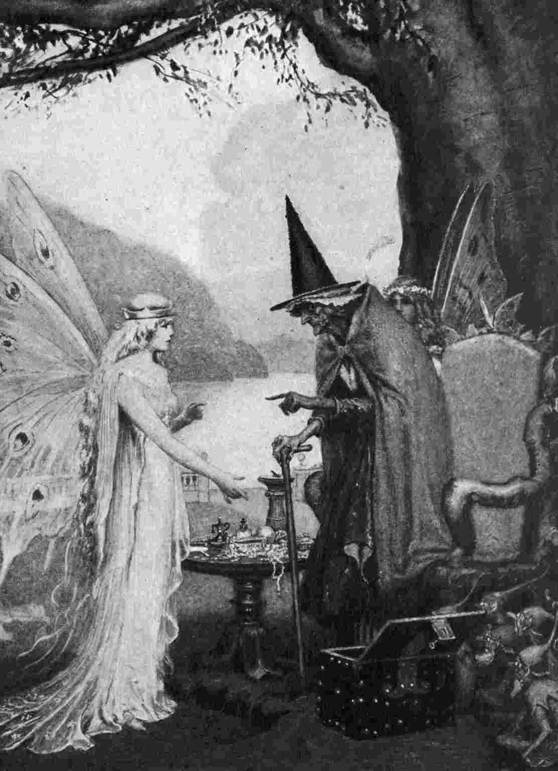 Fairy talks to witch