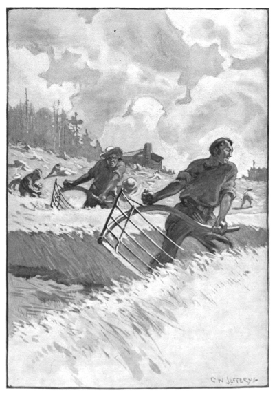 men cutting wheat with cradles in a row