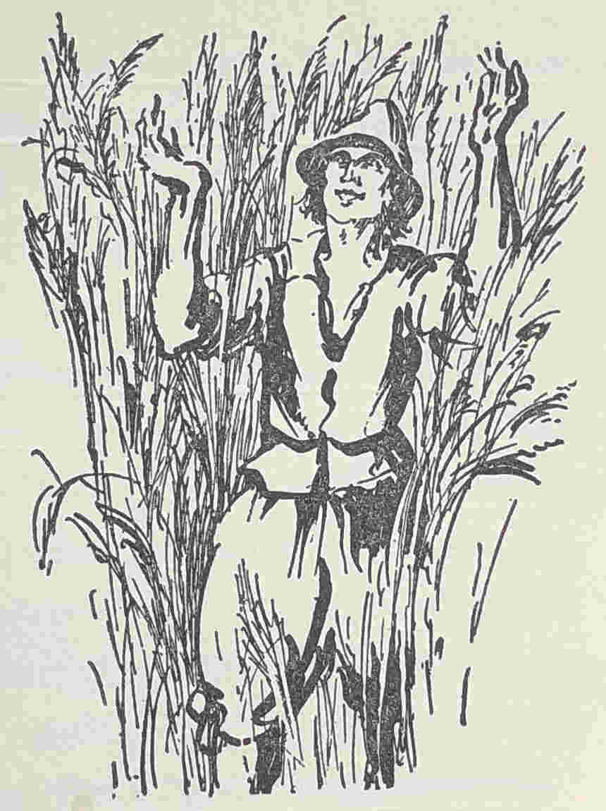Man in tall grass
