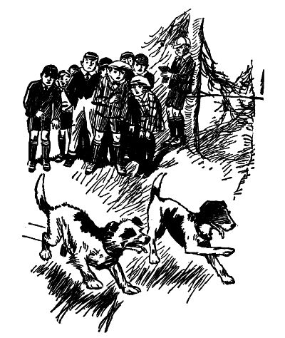 2 dogs running together while children watch