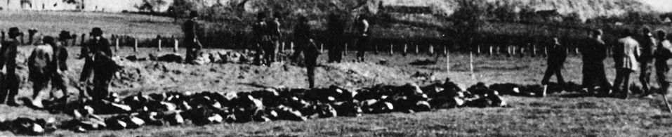 a long row of corpses in a field