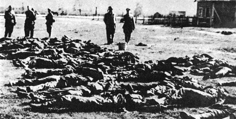 a long row of corpses in a field