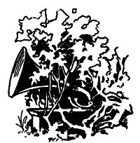 phonograph in a bush