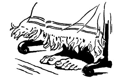 two feed under a towel on a towel rack