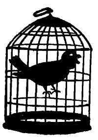 bird in a cage