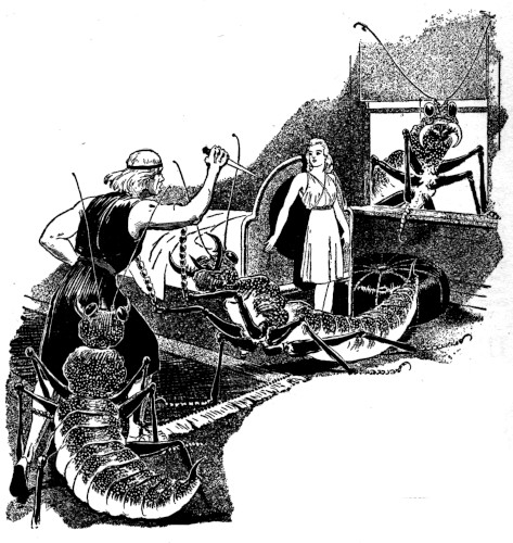 The Braun with the knife sprang at Zetta