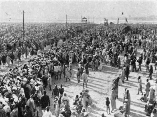 large crowd of people