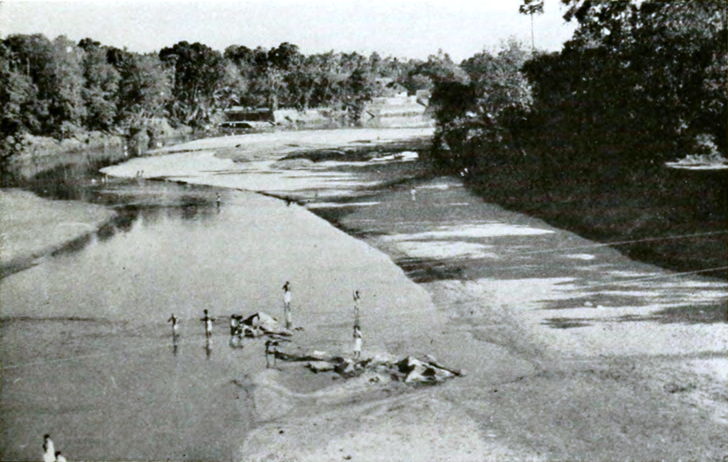 people wading in a river