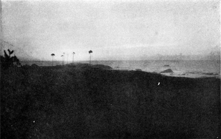 just before the sun rises