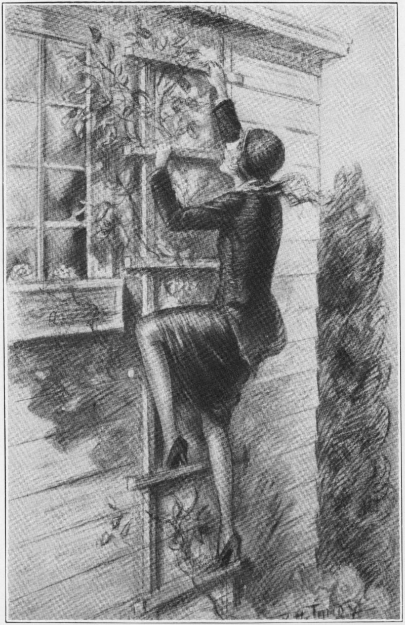 Nancy in fancy dress, climbing a trellis