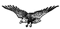 eagle flying with spread wings