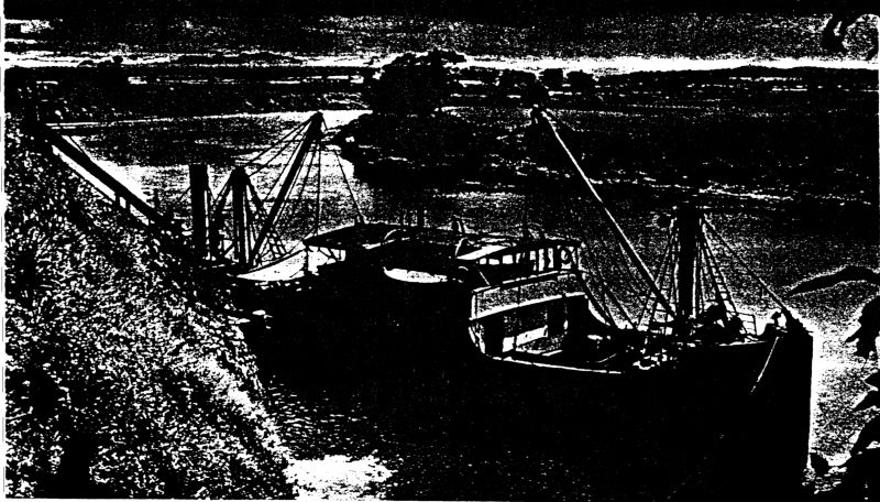 A boat on the river