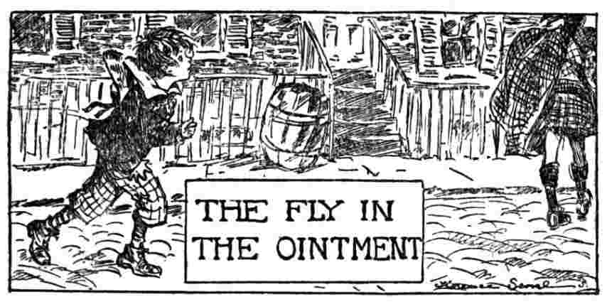 The Fly in the Ointment