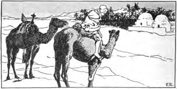 a man with two camels near a desert oasis