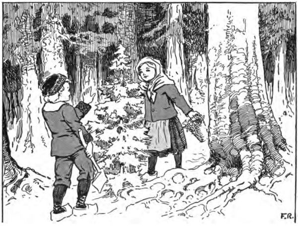 a girl and boy in the forest have found the tree they wish to cut for Christmas