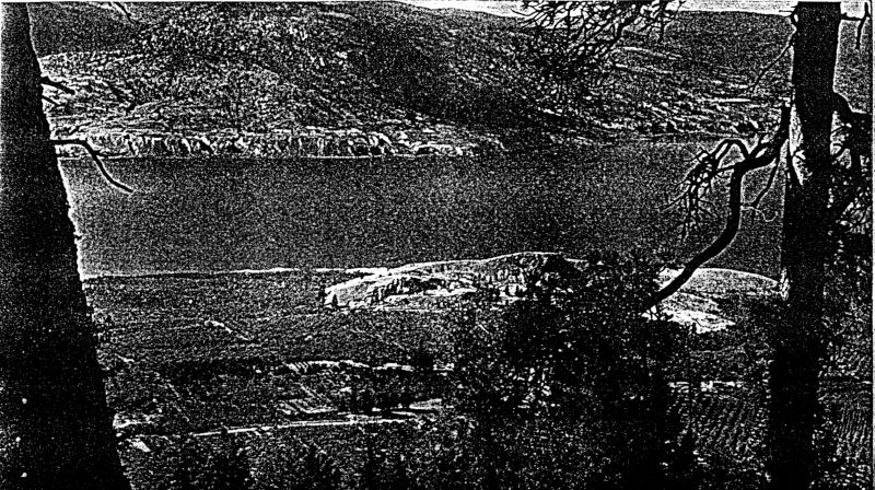 Lake Okanagan from the hillside