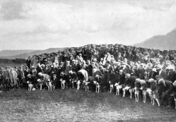 a crowd of men standing behind a line of men holding hounds on leashes