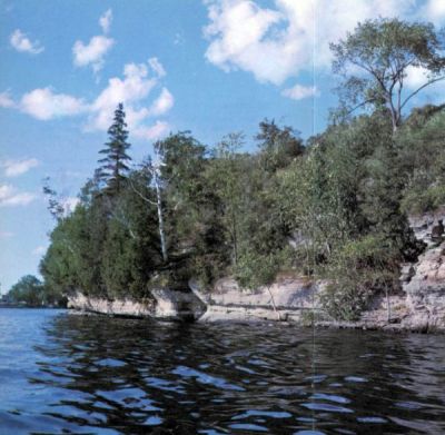 color photo taken from water viewing layered rock shoreline with trees growing on it 
