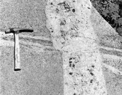close-up of dykes of picture above