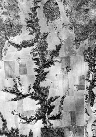 aerial view of meandering stream lined with trees in flat farmland