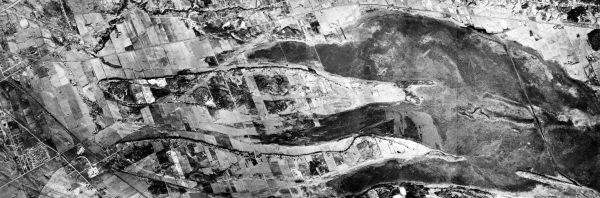 aerial view of swampy area