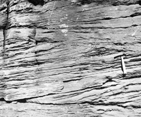 rock wall with layers of limestone