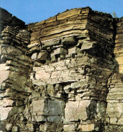 color photo of limestone wall of layers and joints of limestone