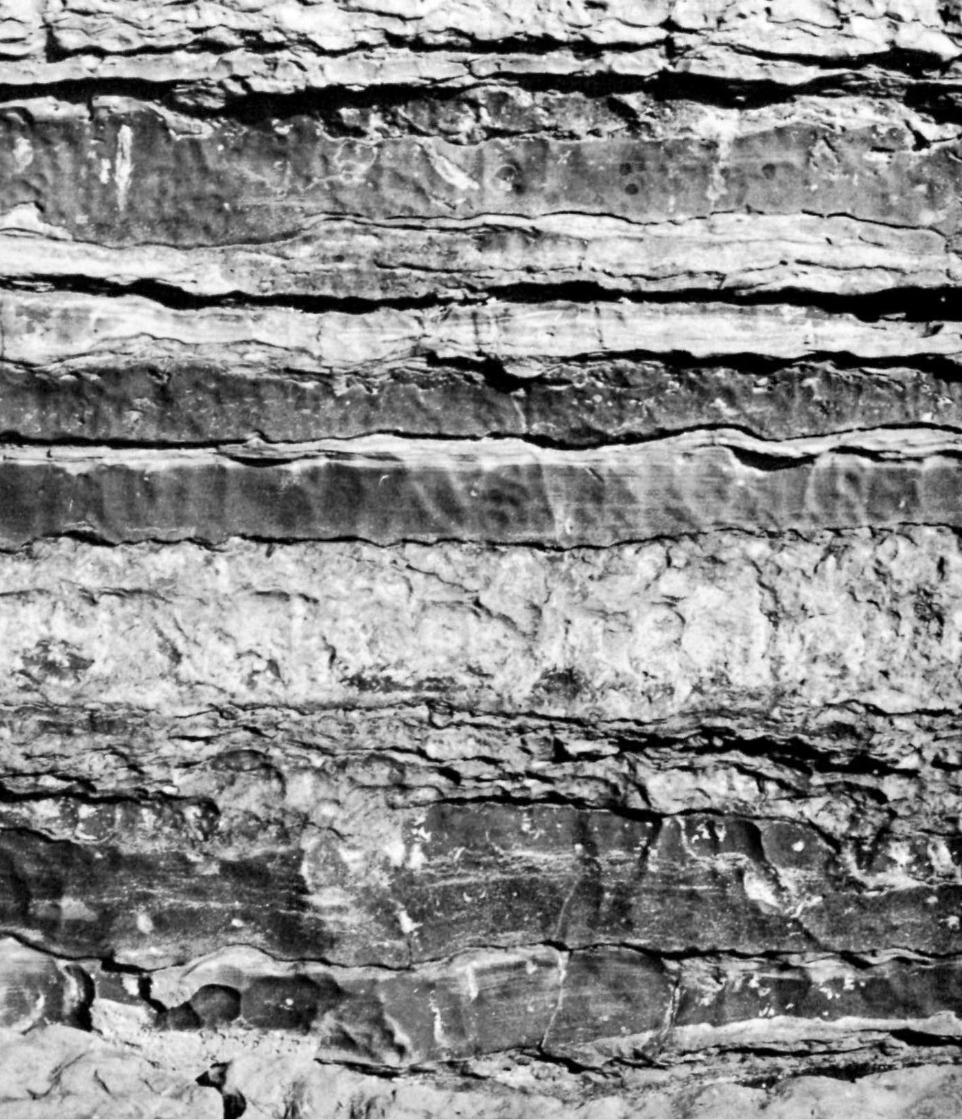 close-up of different layers of Ottawa limestone