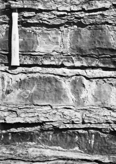 close-up of limestone with hammer for scale