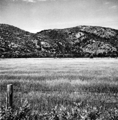 field with hills in background