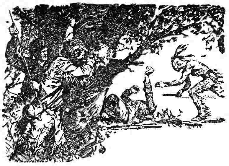 Fight in the woods