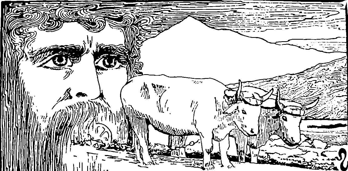 bearded face and oxen