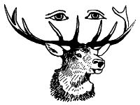 human eyes above horns of deer head